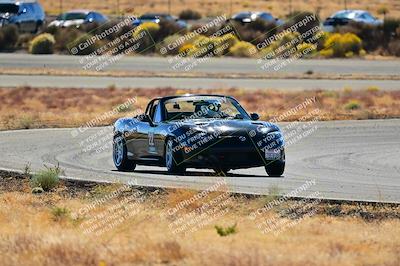 media/Nov-16-2024-Extreme Speed (Sat) [[6587d07cc4]]/Gold Group/Session 2 (Turns 3 and 5)/